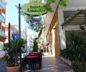 Hotel Amados